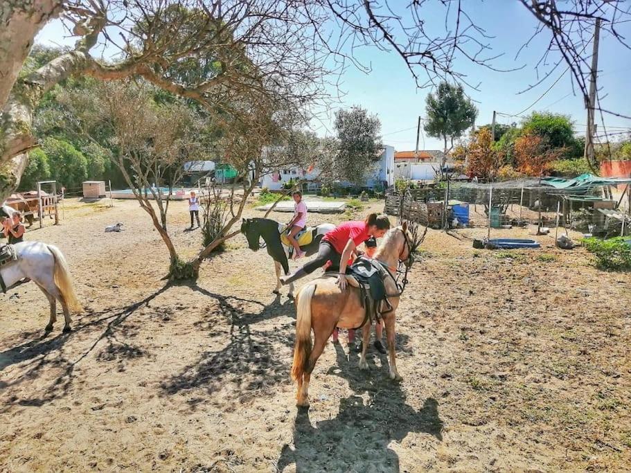 Granja America Leilighet Chiclana de la Frontera Eksteriør bilde