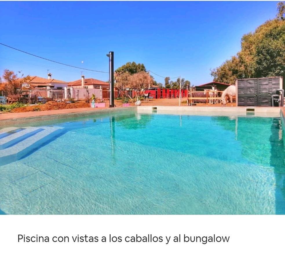 Granja America Leilighet Chiclana de la Frontera Eksteriør bilde